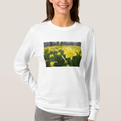 Daffodils RF T_Shirt