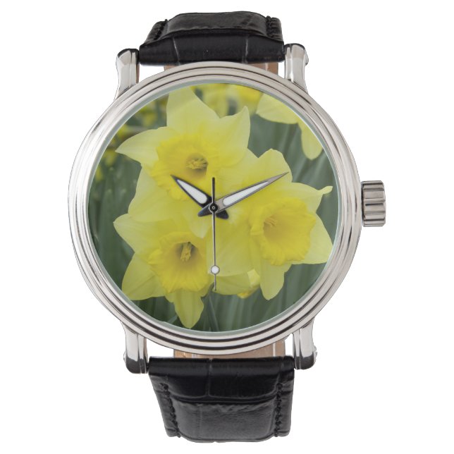 Daffodils RF) Watch (Front)