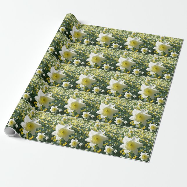 Daffodils Spring Flowers Pattern Wrapping Paper (Unrolled)