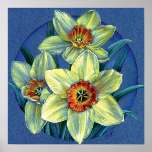 Daffodils  the joys of spring fine art poster