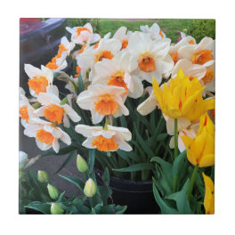 Daffodils & Tulips, Oregon Ceramic Tile
