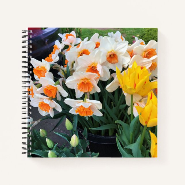 Daffodils & Tulips, Oregon Notebook (Front)