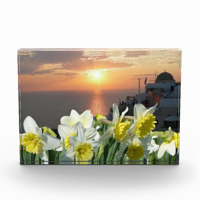 Daffodils White and Yellow Photo Block (Front)