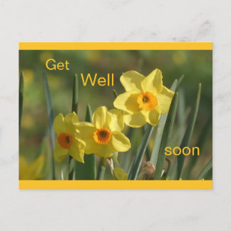 Daffodils Yellow Orange Cust. Get Well Postcard
