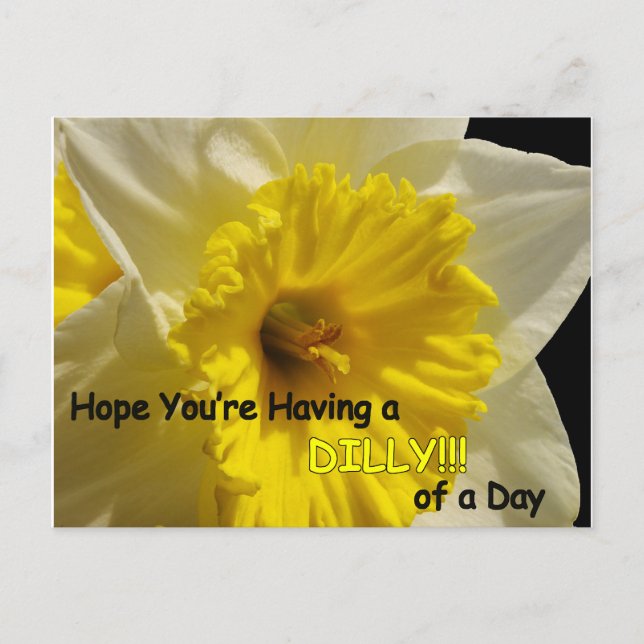 daffy dilly of a day postcard (Front)