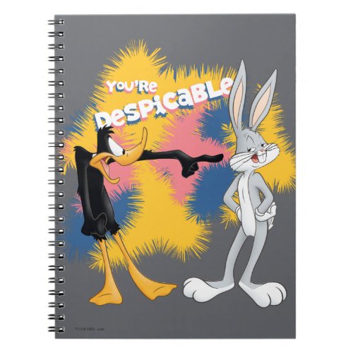 DAFFY DUCK  BUGS BUNNY Youre Despicable Notebook