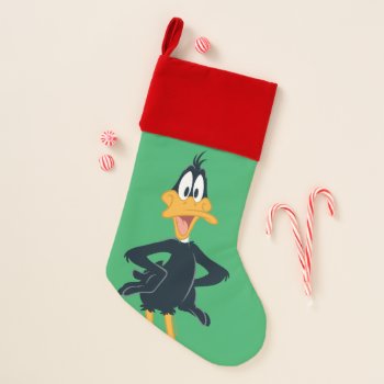 Daffy Duck™ Christmas Stocking by looneytunes at Zazzle
