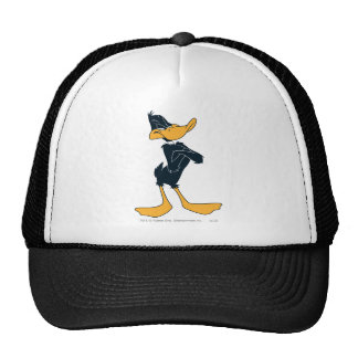 Daffy Duck Gifts on Zazzle