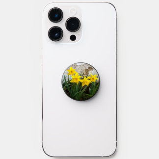 dafodil PopSocket