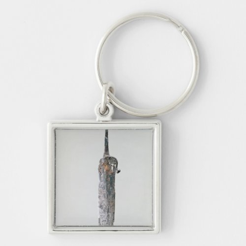 Dagger Halstatt Culture c750_450 BC Keychain