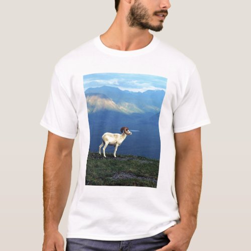 Dahl ram standing on grassy ridge mountains T_Shirt