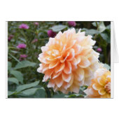 Dahlia (Front Horizontal)
