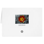 Dahlia (Back Horizontal)