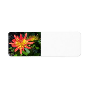 Dahlia address label