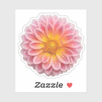 Dahlia and Dew Drops