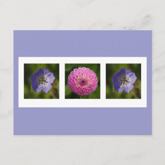Dahlia and Geranium Postcard
