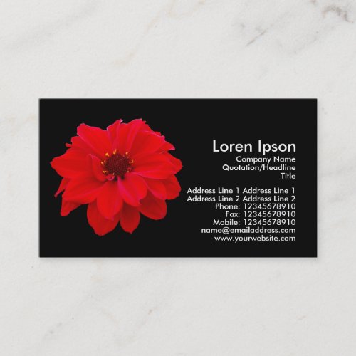 Dahlia Bishop of Llandaff _ Black Business Card