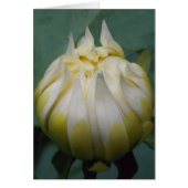 Dahlia Bloom Cards (Front)