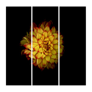 Dahlia Botanical Acrylic Triptych Wall Art