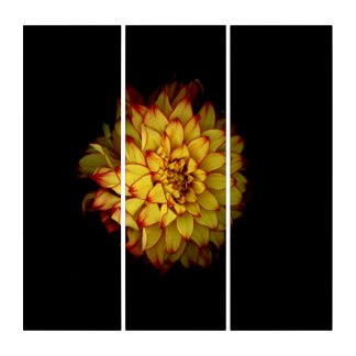 Dahlia Botanical Acrylic Triptych Wall Art