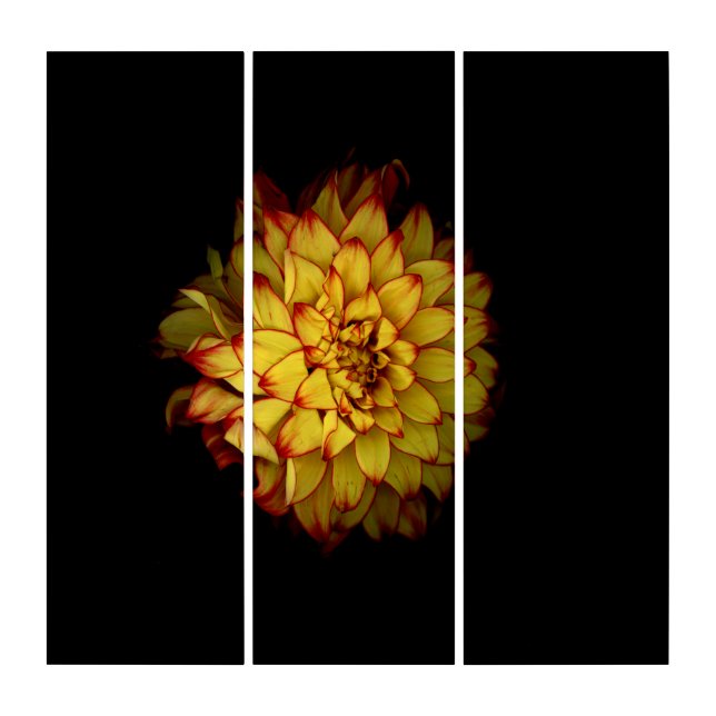 Dahlia Botanical Acrylic Triptych Wall Art (Front)