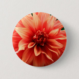 Dahlia Button