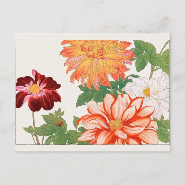 Dahlia by Tanigami Konan Postcard (Front)