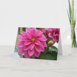 Dahlia Card Basic Hello