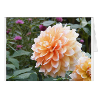 Dahlia Cards
