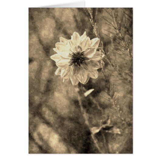 Dahlia Cards (Front)