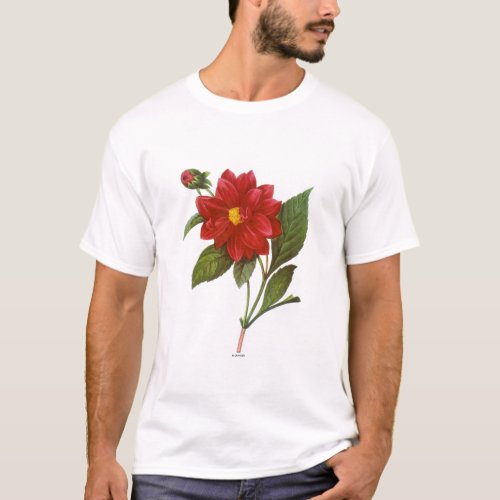 Dahlia Dahlia Pinnata T_Shirt