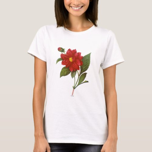 Dahlia Dahlia Pinnata T_Shirt