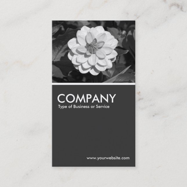 Dahlia 'David Howard' - 80pc Gray Business Card (Front)