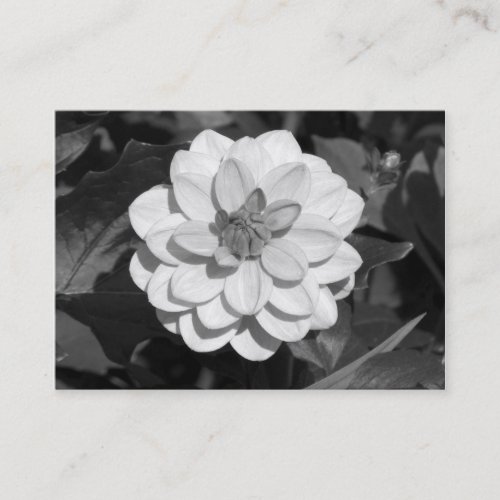 Dahlia David Howard BW Business Card