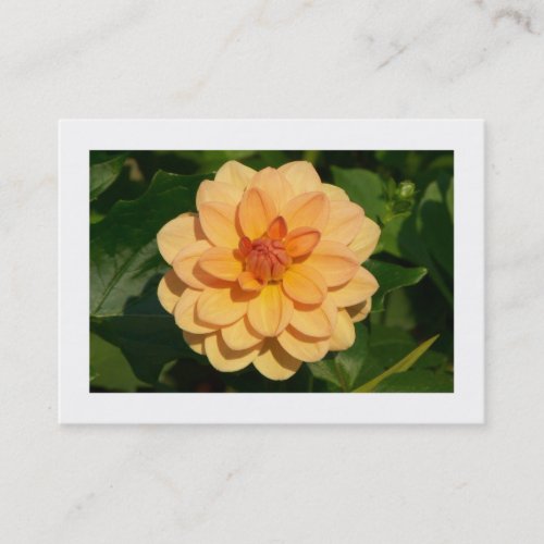 Dahlia David Howard bordered Business Card