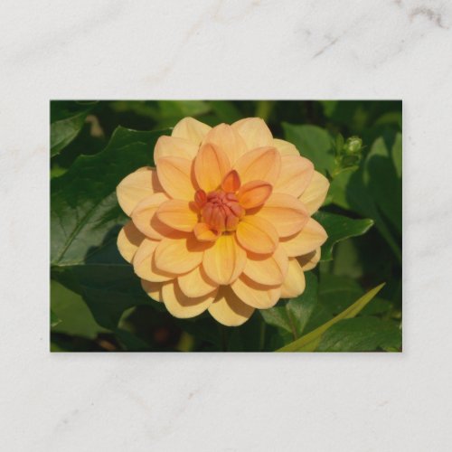 Dahlia David Howard Business Card