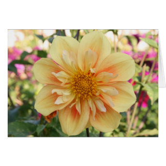 Dahlia, E Z Duzzit 2 Cards