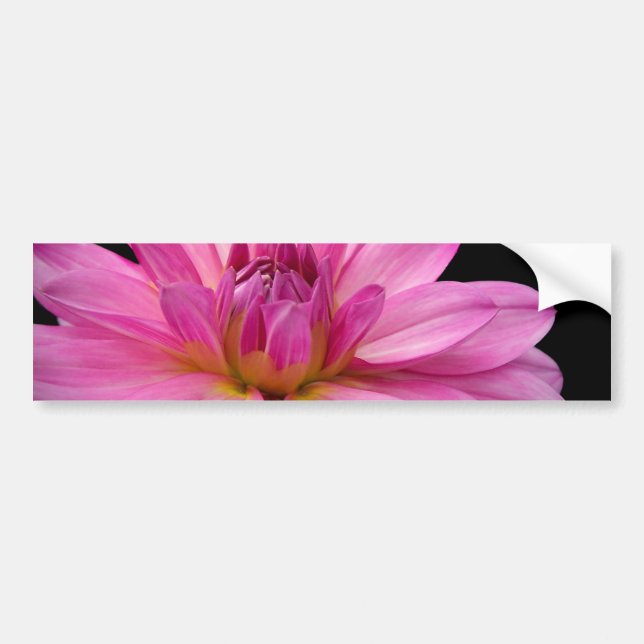 Dahlia Figurine Bumper Sticker (Front)
