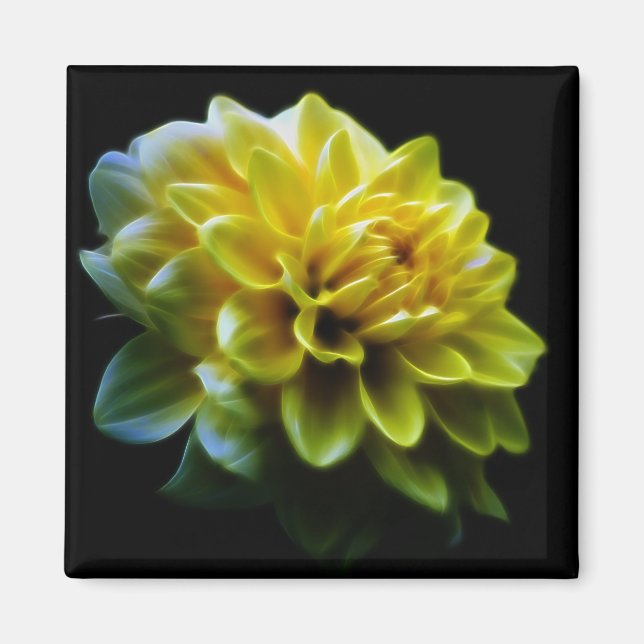 Dahlia flower and meaning magnet (Front)