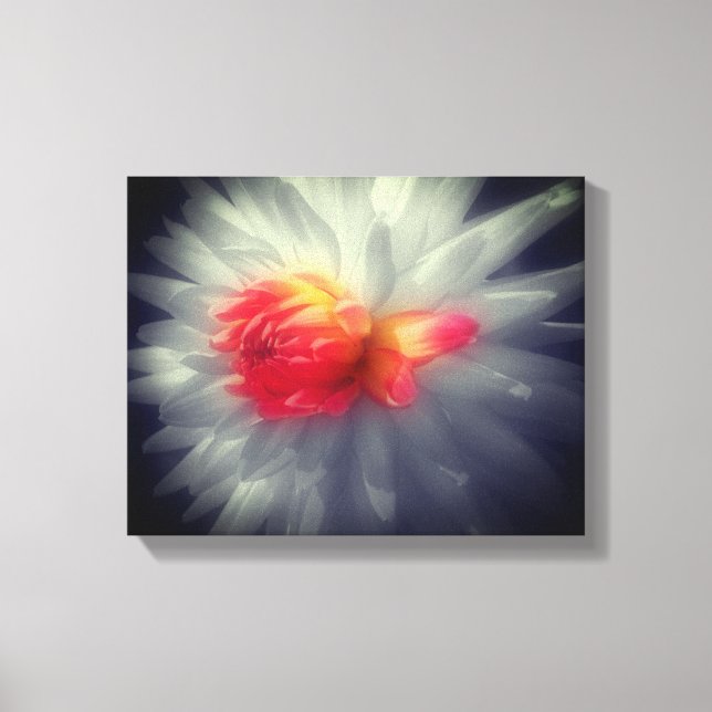 Dahlia Flower Black And White Partial Canvas Print (Front)