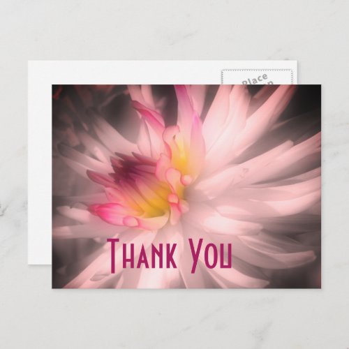 Dahlia Flower Black And White Thank You Postcard