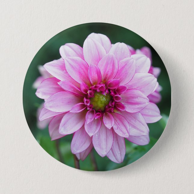 Dahlia flower button (Front)
