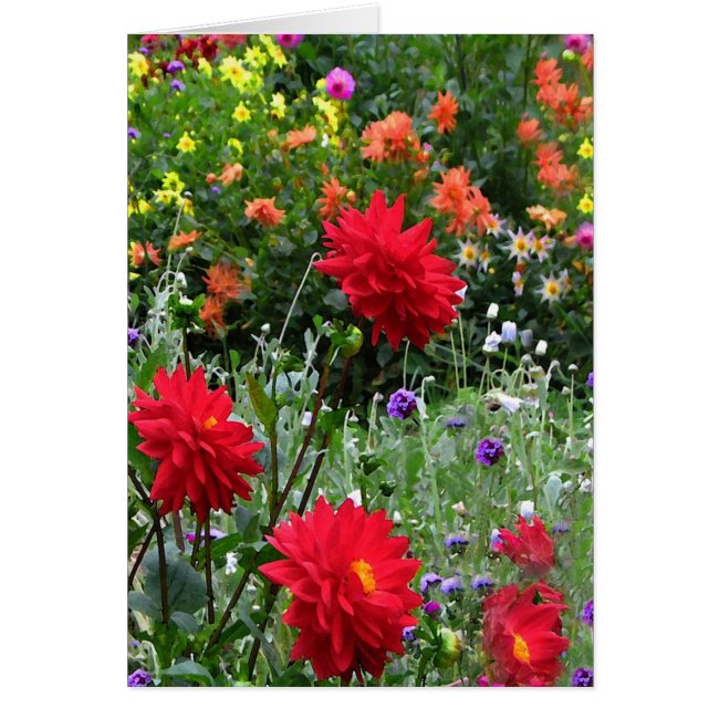 Dahlia Flower Garden Card