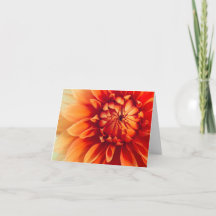 Dahlia Flower (Hidden)