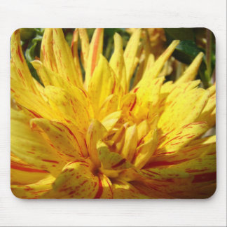 Dahlia Flower mousepad Yellow Dahlia mouse pads