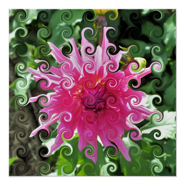 DAHLIA FLOWER POSTER (Front)
