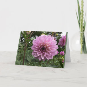 Dahlia flower relationship photo greeting card