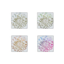 Dahlia flower stone magnet set of four