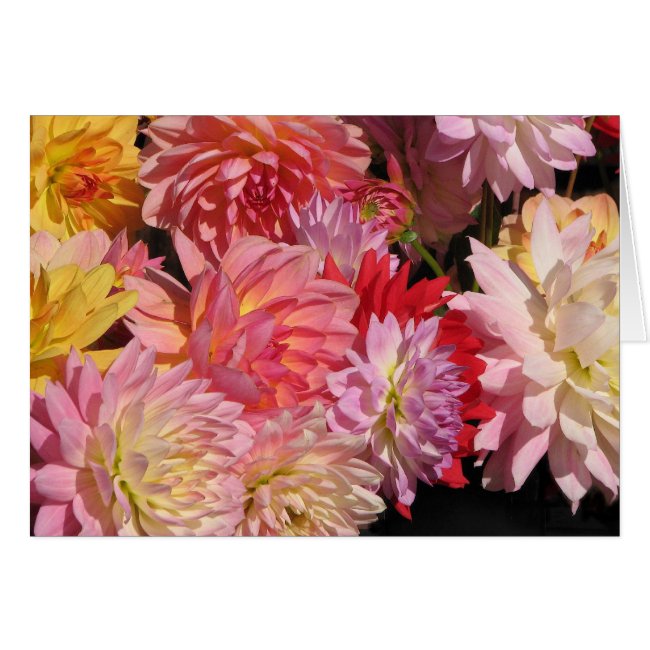 Dahlia Flowers Birthday Card