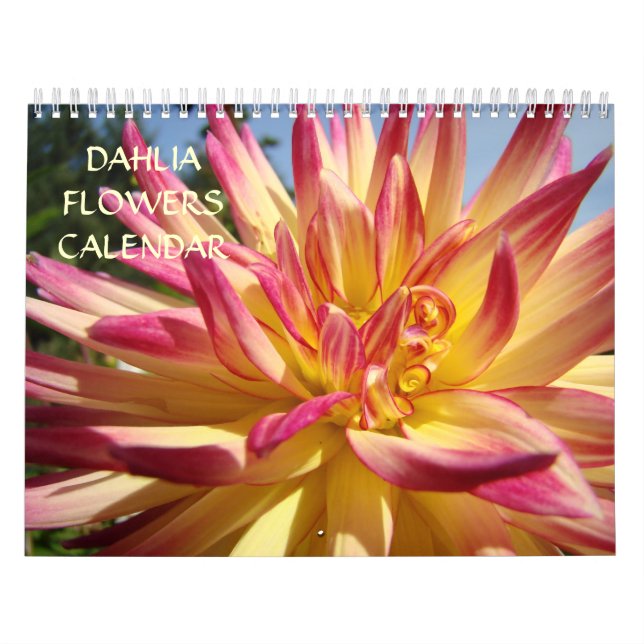 Dahlia Flowers Calendar Office Calendar Holidays (Cover)